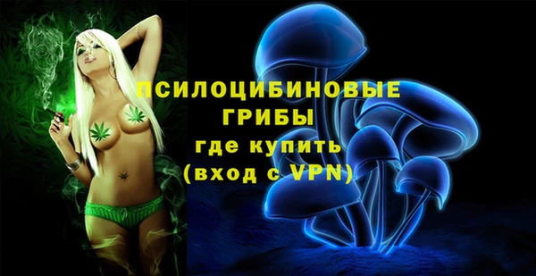 эйфоретик Арсеньев